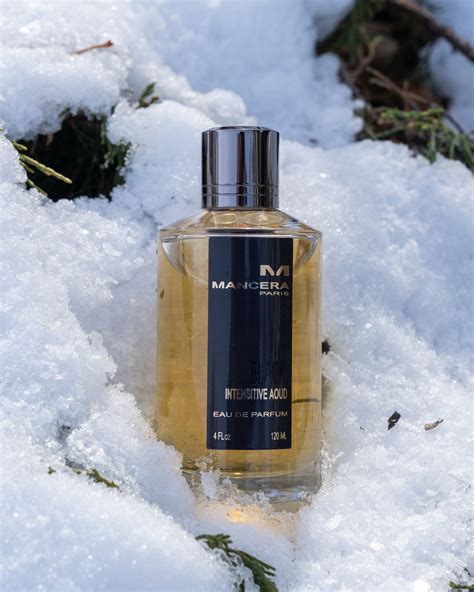 mancera black intensitive aoud vs gucci intense oud|pierre Mancera black intense aoud.